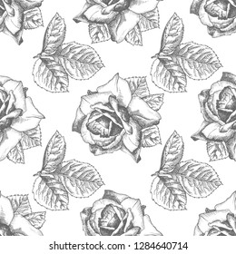 Seamless pattern Hand drawn sketch roses Detailed vintage botanical illuatration. Floral frame. Black silhouette isollated on white background. Vector Creative graphic art in engraving style