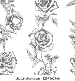 Seamless pattern Hand drawn sketch roses Detailed vintage botanical illuatration. Floral frame. Black silhouette isollated on white background. Vector Creative graphic art in engraving style