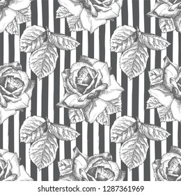 Seamless pattern Hand drawn sketch roses Detailed vintage botanical illuatration. Floral frame. Black silhouette isollated on white background. Vector Creative graphic art in engraving style