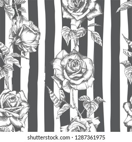 Seamless pattern Hand drawn sketch roses Detailed vintage botanical illuatration. Floral frame. Black silhouette isollated on white background. Vector Creative graphic art in engraving style