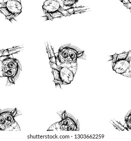 Seamless pattern of hand drawn sketch style Philippine tarsier isolated on white background. Vector illustration.