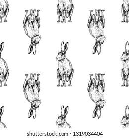 Seamless pattern of hand drawn sketch style hares isolated on white background. Vector illustration.