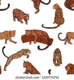 Seamless pattern of hand drawn sketch style leopards isolated on white background. Vector illustration.