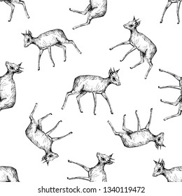 Seamless pattern of hand drawn sketch style dik-diks isolated on white background. Vector illustration.