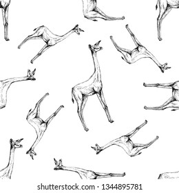 Seamless pattern of hand drawn sketch style gerenuks isolated on white background. Vector illustration.