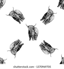 Seamless pattern of hand drawn sketch style Highland cattle isolated on white background. Vector illustration.