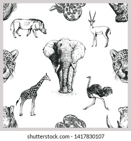 Seamless pattern of hand drawn sketch style African and Asian animals isolated on white background. Vector illustration.