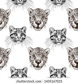 Seamless pattern of hand drawn sketch style portraits of clouded leopards with common leopards isolated on white background. Vector illustration.