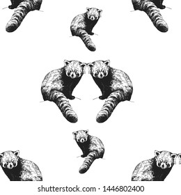 Seamless pattern of hand drawn sketch style red pandas isolated on white background. Vector illustration.