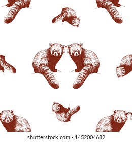 Seamless pattern of hand drawn sketch style red pandas isolated on white background. Vector illustration.