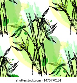 Seamless pattern of hand drawn sketch style bamboo stems with leaves isolated on white background. Vector illustration.