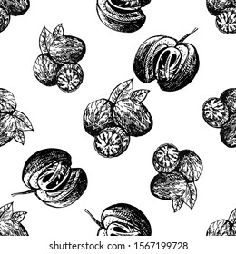 Seamless pattern of hand drawn sketch style nutmegs isolated on white background. Vector illustration.