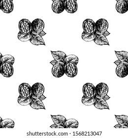 Seamless pattern of hand drawn sketch style walnuts isolated on white background. Vector illustration.
