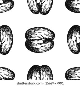 Seamless pattern of hand drawn sketch style sea coconuts isolated on white background. Vector illustration.