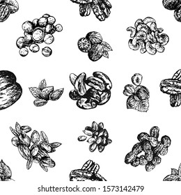 Seamless pattern of hand drawn sketch style different kinds of nuts isolated on white background. Vector illustration.