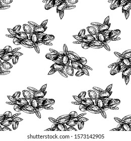 Seamless pattern of hand drawn sketch style pistachios isolated on white background. Vector illustration.