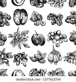 Seamless pattern of hand drawn sketch style different kinds of nuts isolated on white background. Vector illustration.