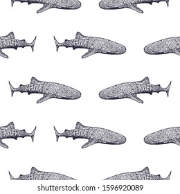 Seamless pattern of hand drawn sketch style abstract ethnic sharks isolated on white background. Vector illustration.