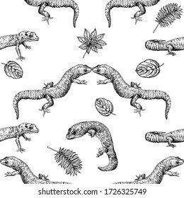 Seamless pattern of hand drawn sketch style geckos and plants isolated on white background. Vector illustration.