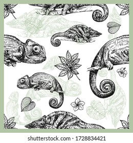 Seamless pattern of hand drawn sketch style chameleons and plants isolated on white background. Vector illustration.