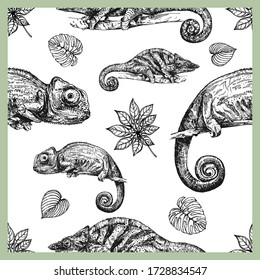 Seamless pattern of hand drawn sketch style chameleons and plants isolated on white background. Vector illustration.