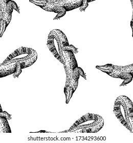 Seamless pattern of hand drawn sketch style crocodiles isolated on white background. Vector illustration.