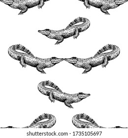 Seamless pattern of hand drawn sketch style crocodiles isolated on white background. Vector illustration.
