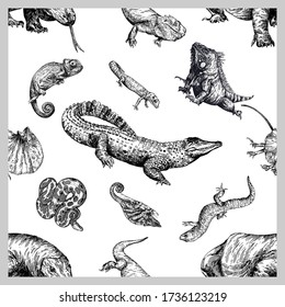 Seamless pattern of hand drawn sketch style reptiles isolated on white background. Vector illustration.