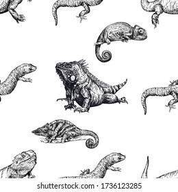 Seamless pattern of hand drawn sketch style reptiles isolated on white background. Vector illustration.