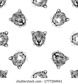 Seamless pattern of hand drawn sketch style portraits of leopards isolated on white background. Vector illustration.