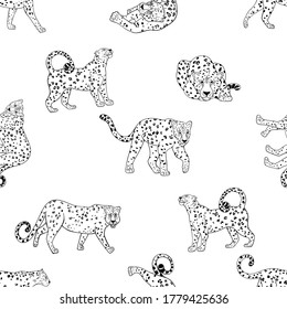 Seamless pattern of hand drawn sketch style leopards isolated on white background. Vector illustration.