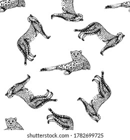 Seamless pattern of hand drawn sketch style cheetah isolated on white background. Vector illustration.