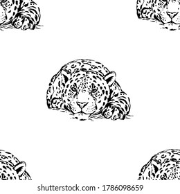 Seamless pattern of hand drawn sketch style leopards isolated on white background. Vector illustration.