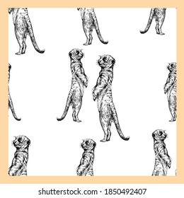 Seamless pattern of hand drawn sketch style meerkats isolated on white background. Vector illustration.