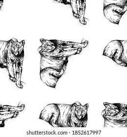 Seamless pattern hand drawn sketch style pumas isolated on white background. Vector illustration.