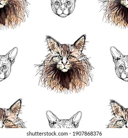 Seamless pattern of hand drawn sketch style Maine Coon and Sphynx cats isolated on white background. Vector illustration.