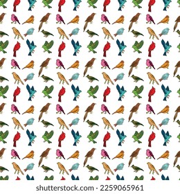 Seamless pattern of hand drawn sketch style colored birds. Vector illustration isolated on white background.