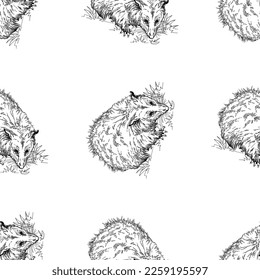 Seamless pattern of hand drawn sketch style Opossums isolated on white background. Vector illustration.