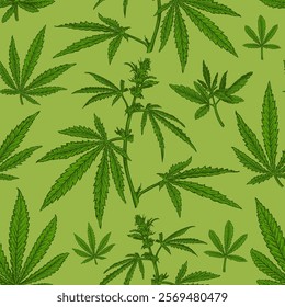 Seamless pattern with hand drawn sketch of Cannabis. Vector illustration of leaves and plant Hemp. Botanical drawing of Medical Marijuana foliage. Vintage engraved style