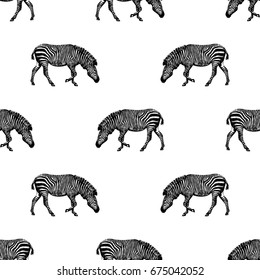 Seamless pattern of hand drawn sketch style zebra. Vector illustration isolated on white background.