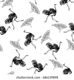Seamless pattern of hand drawn sketch style ostrich. Vector illustration isolated on white background.