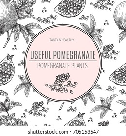 Seamless pattern Hand drawn sketch style pomegranates with seeds and leafs. Sketch style vector illustration. Organic food vector.