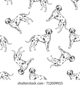 Seamless pattern of hand drawn sketch style dalmatian. Vector illustration isolated on white background.