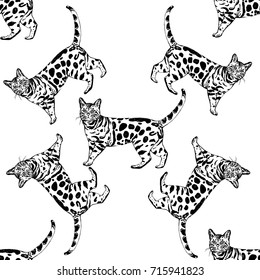 Seamless pattern of hand drawn sketch style bengal cats. Vector illustration isolated on white background.