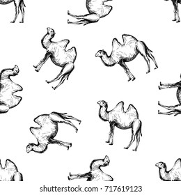 Seamless pattern of hand drawn sketch style camel. Vector illustration isolated on white background.