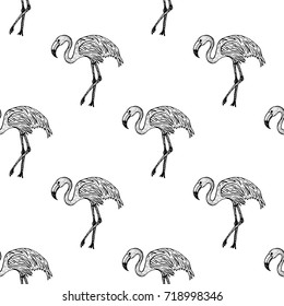 Seamless pattern of hand drawn sketch style flamingo. Vector illustration.