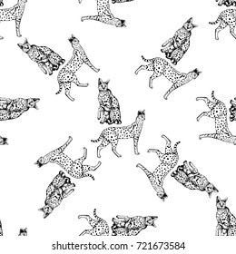 Seamless pattern of hand drawn sketch style servals. Vector illustration isolated on white background.