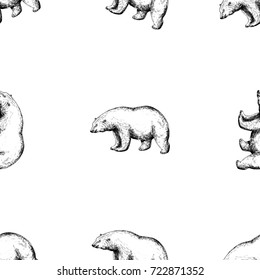 Seamless pattern of hand drawn sketch style polar bears. Vector illustration isolated on white background.