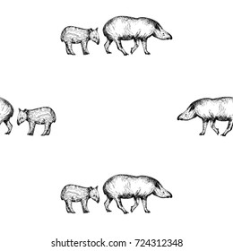 Seamless pattern of hand drawn sketch style tapirs. Vector illustration isolated on white background.