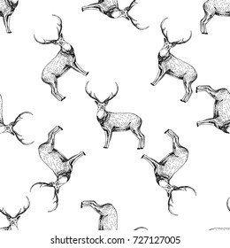 Seamless pattern of hand drawn sketch style deer. Vector illustration isolated on white background.